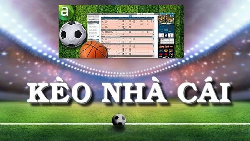 Kèo cá cược nhà cái Kubet là gì?