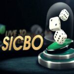 Sicbo là gì? Tìm hiểu luật cược sicbo cơ bản nhất