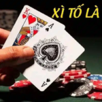 Game xì tố là gì? Hướng dẫn tân binh cách chơi tại Kubet