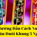 Bật mí cách nuôi đầu đuôi khung 3 ngày cực chuẩn