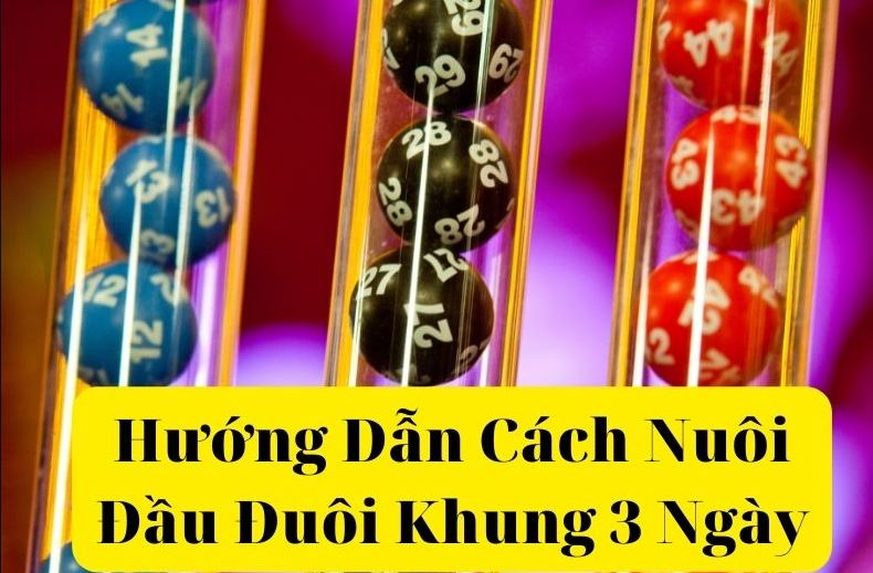 Nuôi đầu đuôi khung 3 ngày là gì?